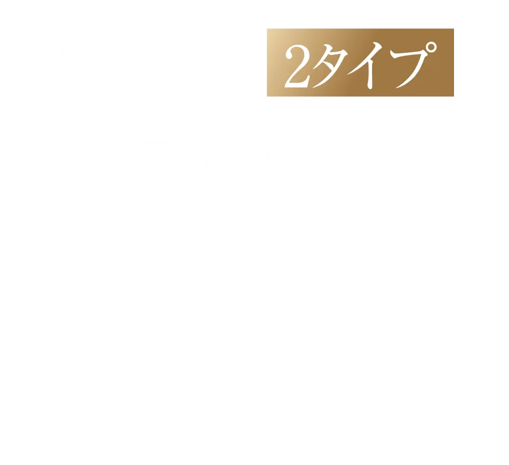 建物内モデルルーム公開中
