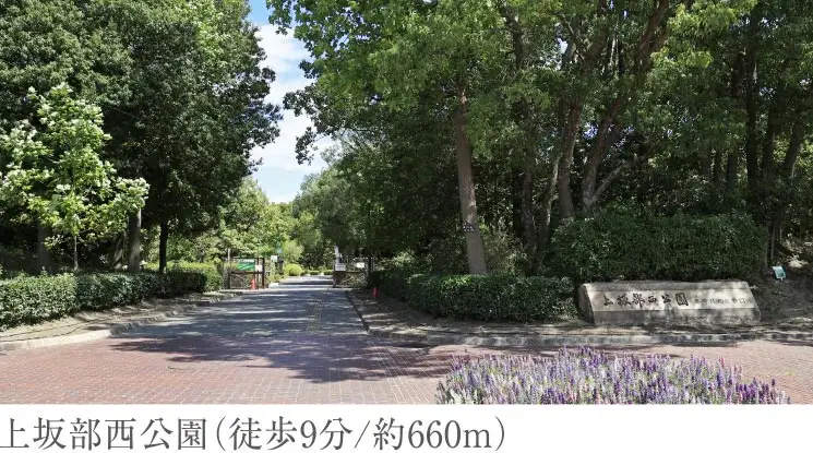 上坂部西公園（徒歩9分/約660m）