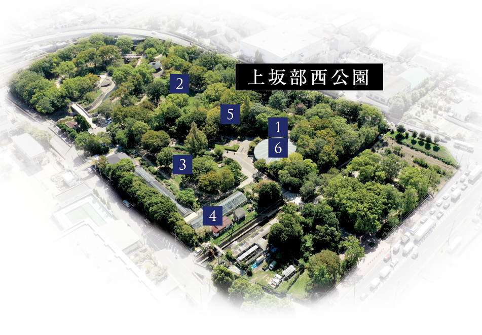 上坂部西公園