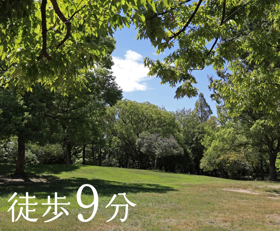 上坂部西公園